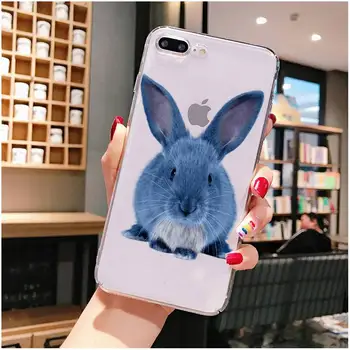 Cute little white rabbit Telefono dėklas 